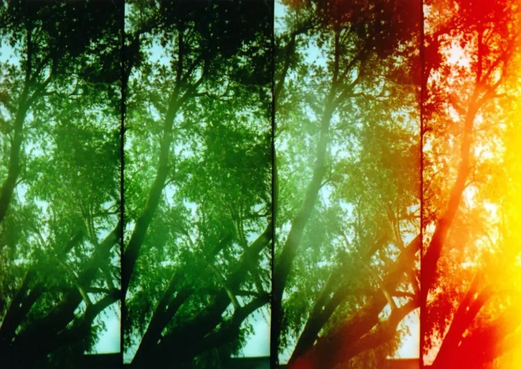 Exploring Retro Filters and Analog Color Tones